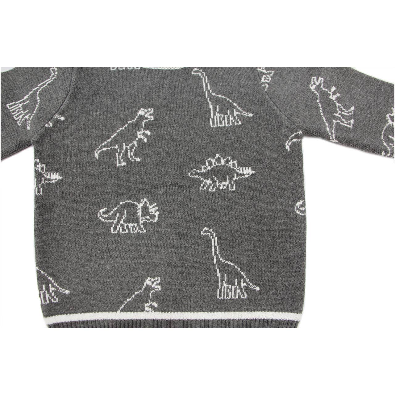Leon Dinosaur Sweater