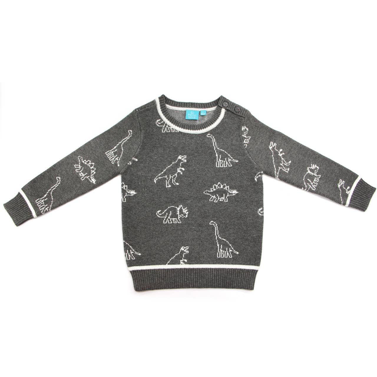 Leon Dinosaur Sweater